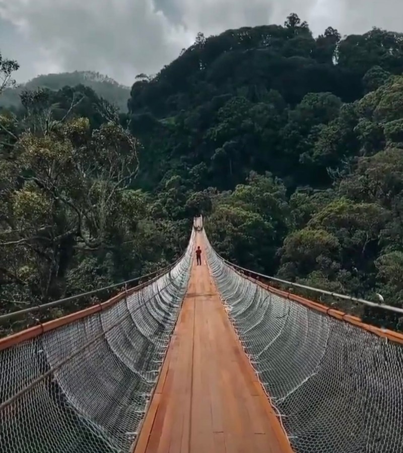 5 Jembatan Unik dan Menarik di Indonesia