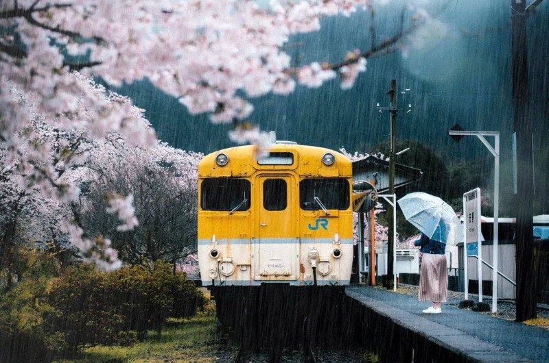 Jepang jadi Rekomendasi Negara buat Solo Travelling