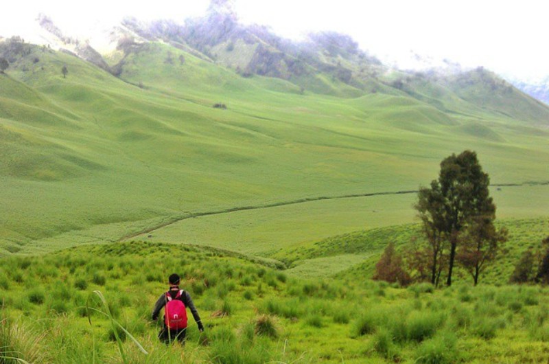 Intip View Terbaik Gunung Bromo yang Bikin Kangen